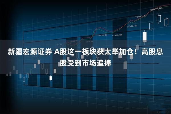 新疆宏源证券 A股这一板块获大举加仓！高股息股受到市场追捧