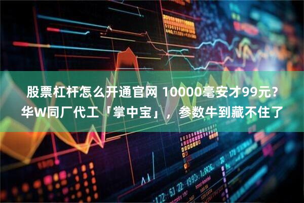 股票杠杆怎么开通官网 10000毫安才99元？华W同厂代工「掌中宝」，参数牛到藏不住了